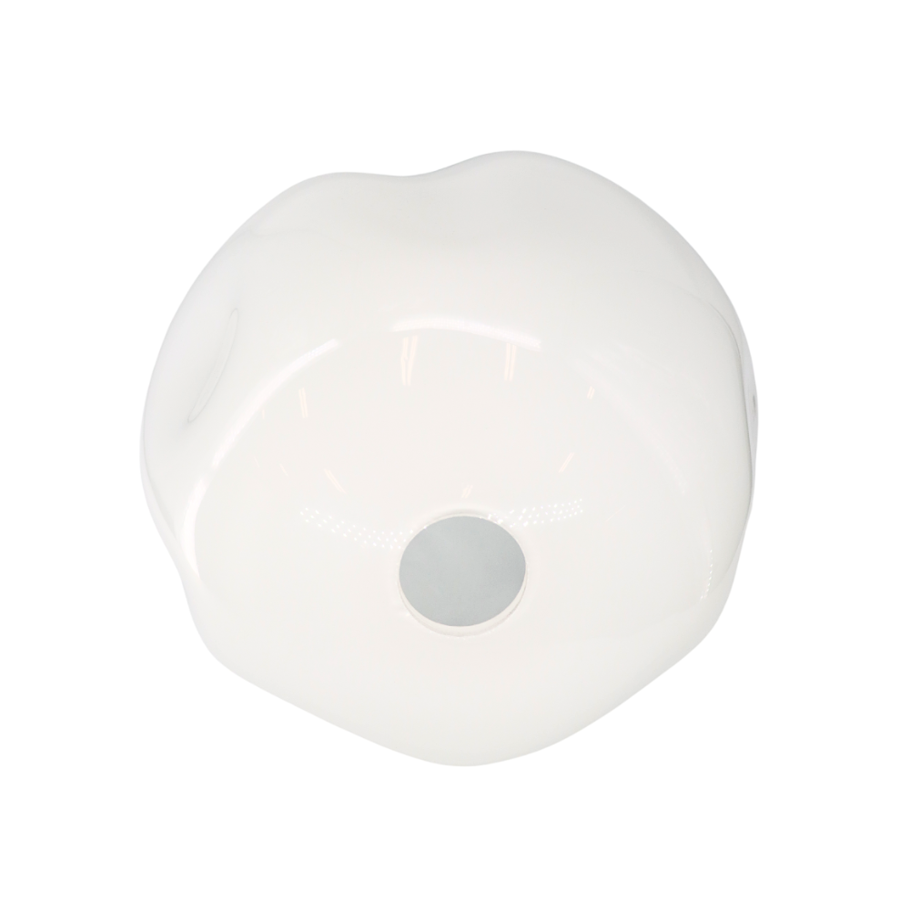 HF81-LG-WHT Sonoma Collection Large Frosted White Glass Globe